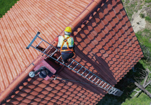 Best 4 Ply Roofing  in Lacoste, TX